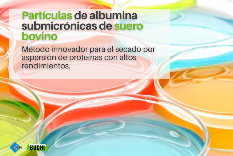 Partículas de albumina submicrónicas de suero bovino 